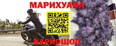 гидра Рязань