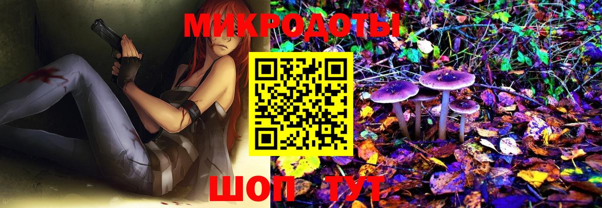 Серов  Псилоцибиновые грибы Psilocybe  Псилоцибиновые грибы Psilocybe  Вход с VPN 