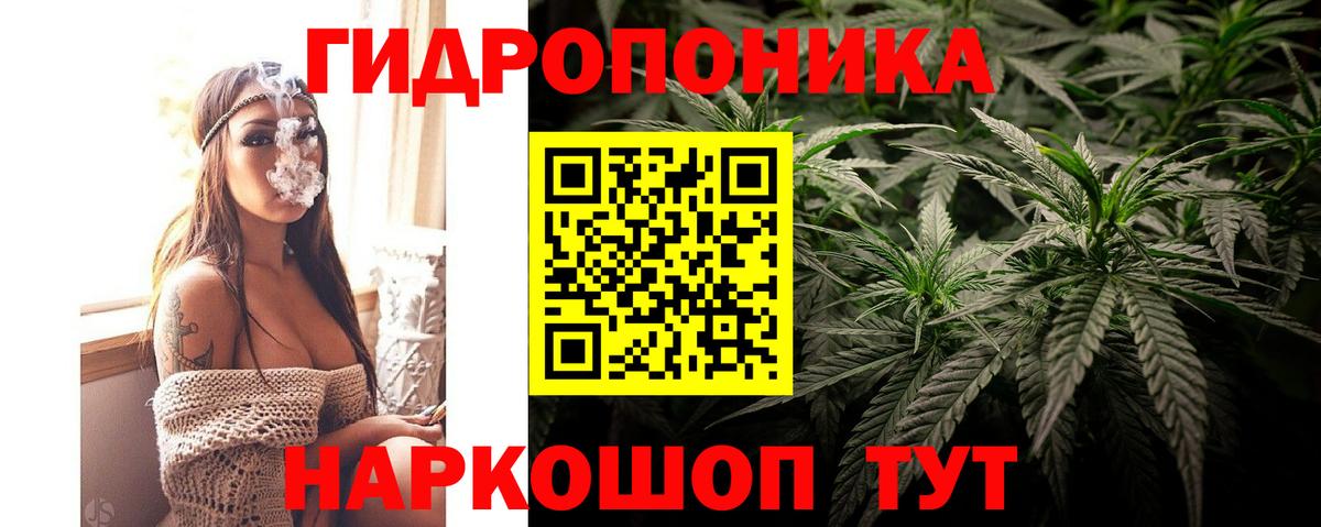 Бошки Шишки марихуана  Конопля LSD WEED  Бошки марихуана семена  Серов  Вход с VPN  Конопля White Widow 